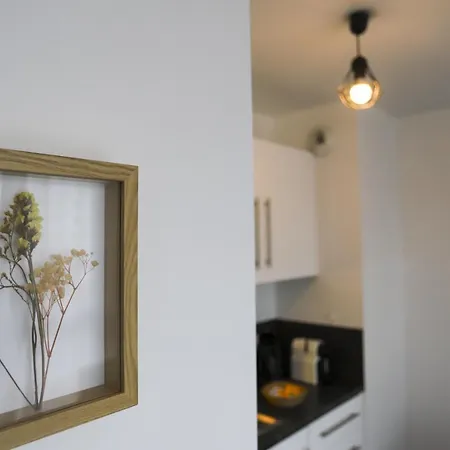 Cocon Annecien Entre Et Montagne Classé 1 étoile Appartement Annecy