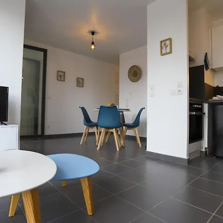 Cocon Annecien Entre Et Montagne Classé 1 étoile Appartement Annecy