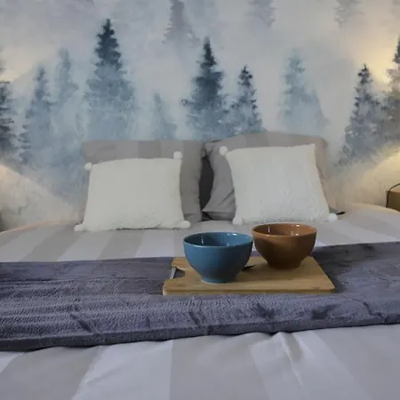 Cocon Annecien Entre Et Montagne Classé 1 étoile Appartement *